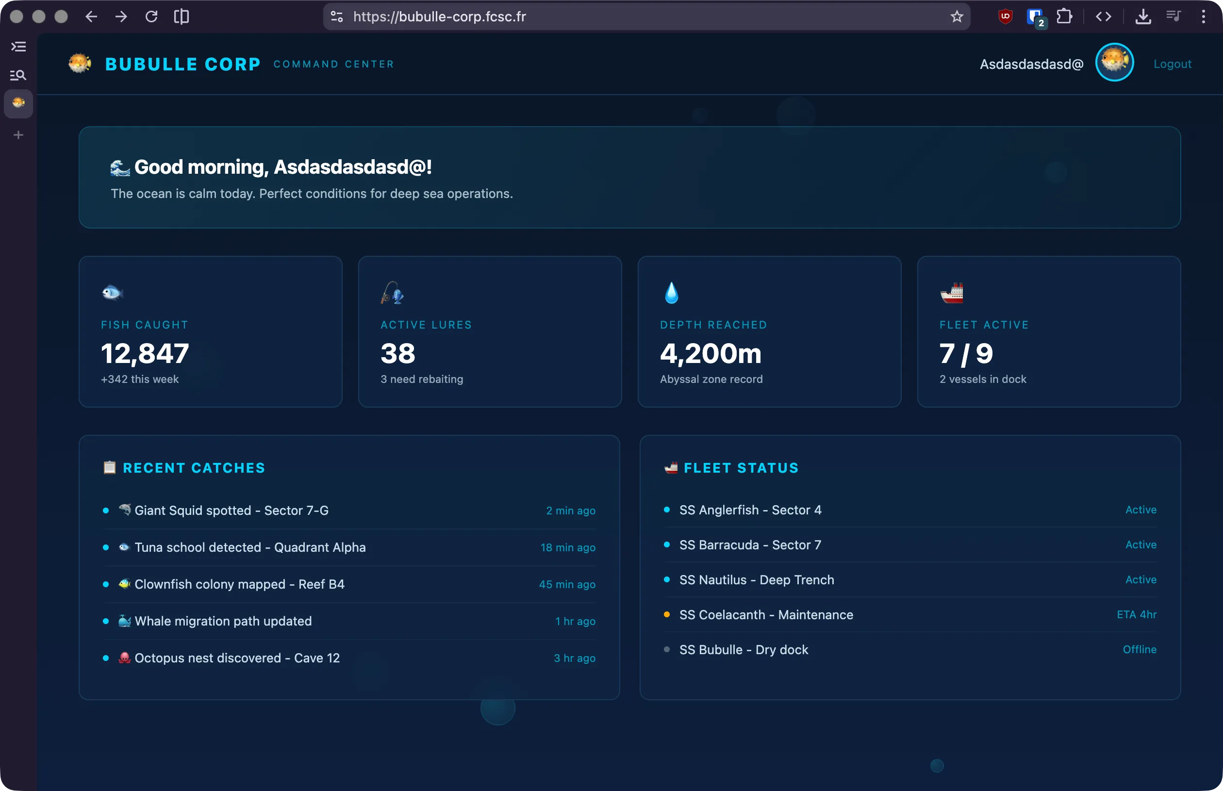 bubulle corp dashboard